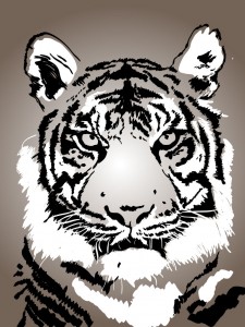 Tigre, lavoro di grafica realizzato con Adobe Illustrator con pennello